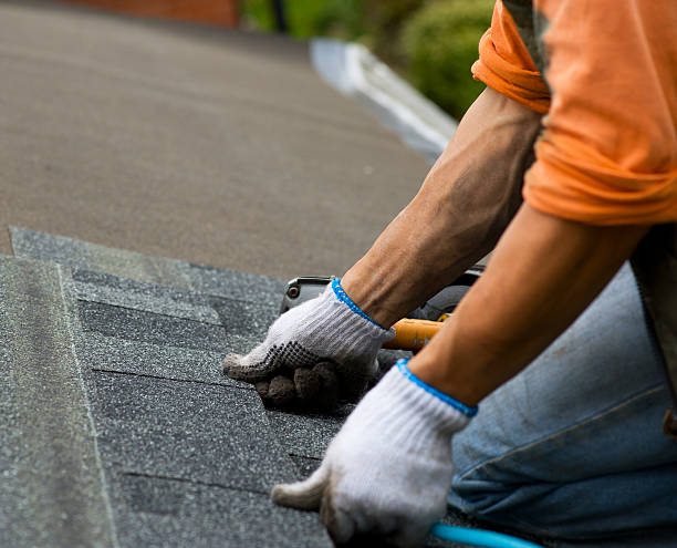 Best Roof Gutter Cleaning  in Harahan, LA